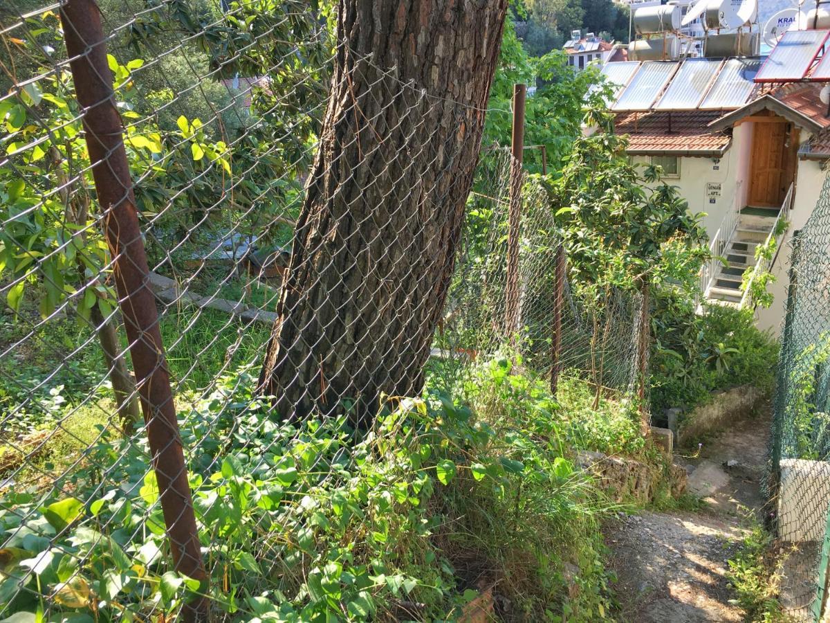 Home Dream View - Fethiye Centre Bagian luar foto